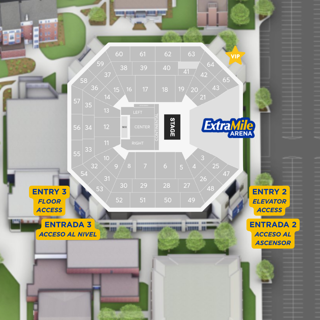 TIGRES Entry  ENGESP.png